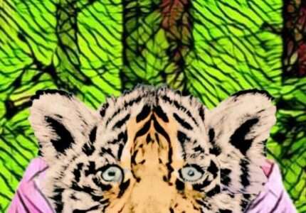 Scared baby tiger in a pink jacket