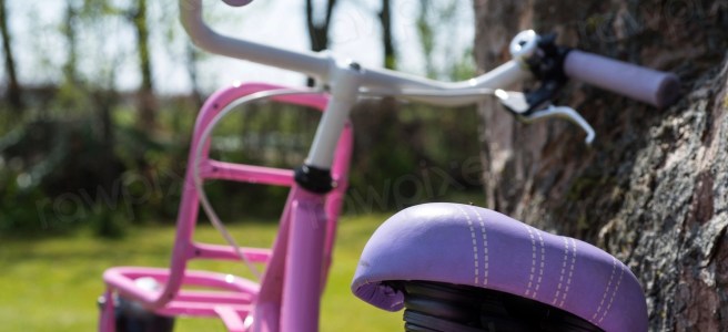 Purple and pink bike set against a tree's trunk.