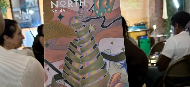 The cover of Passages North, Issue #45 depicting pink-yellow tentacles connecting hands.